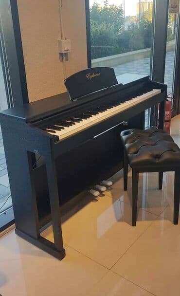 piano dersleri baki: Çox sevilən Euphonia elektron pianoları! Çəkiç mexanizmini imitasiya — 1