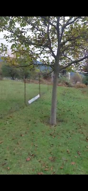 quba a frame evler: Tikinti — 6