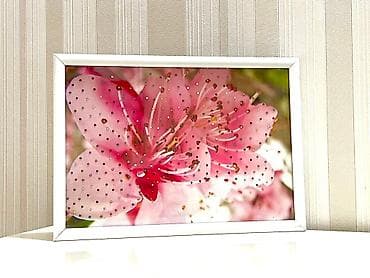 dekor satisi: Meditasiya ucun cerciveler. 60 manata alinib 18 manata satilir — 2