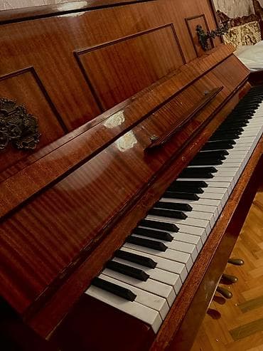 akustik gitara simi: Endirim olundu✨✨ Tecili evden cixmalidir Qiymet 175azn Unvan Nesimi — 1