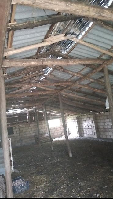 culyanda kiraye evler: Kənd təsərrüfatı — 6