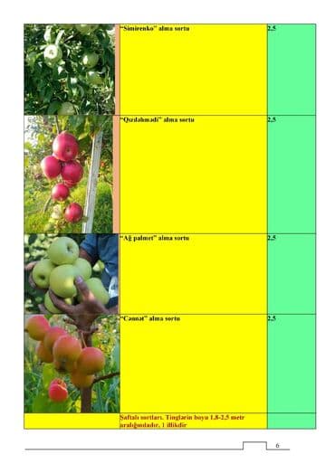 Çöl bitkiləri: Meyvə və dekorativ ağac tingləri Təsvir: - Tərtər rayonu ərazisində — 11