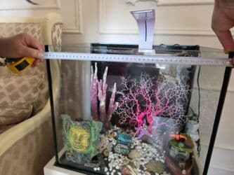 компрессор для аквариума бишкек: Akvaryum satılır – hər şey daxil - Şüşə akvarium, üstten filtrləmə — 5