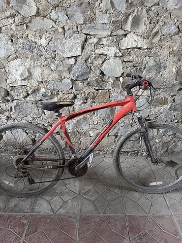 Şəhər velosipedi 29"