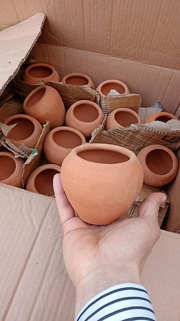 Bitki dərmanları: SUKULENT VƏ KAKTUS ÜÇÜN DİBÇƏK əldə 20 ədəd var ünvan Xırdalan — 1