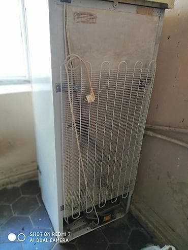 sumqayıtda soyuducu: Soyuducu – iki kameralı, üst hissədə dondurucu bölmə. Məişətdə — 3