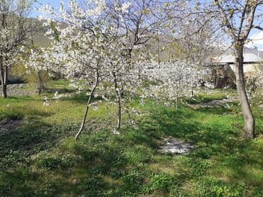 объявления о продаже земельных участков: 10 соток, Для строительства, Собственник, Купчая — 5