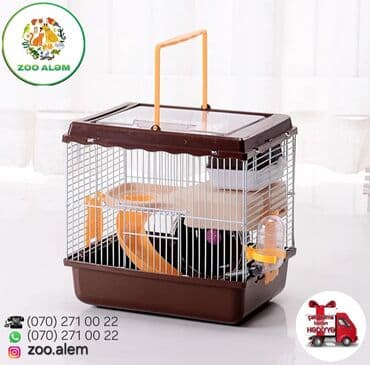 donuz balası: Xomyak və cunqarik qəfəsi Xomyak və cunqarikləriniz üçün rəngli və — 1