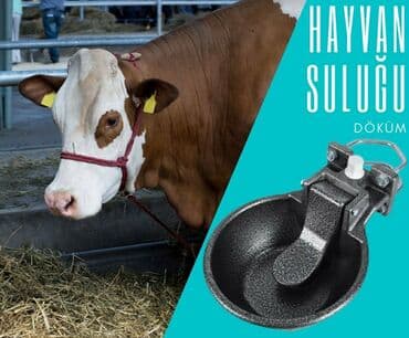 inək südsağan aparat: Yem qabı, Su üçün, Heyvanlar üçün, Rayonlara çatdırılma, Ünvandan götürmə, Pulsuz çatdırılma — 2