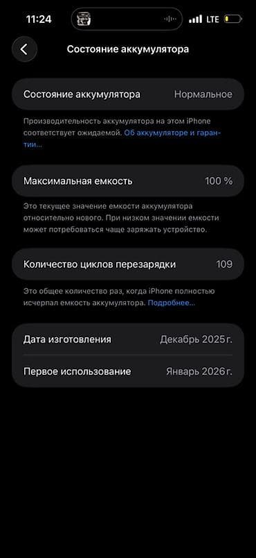 ipad 5 2017: IPhone 17 Pro Max, 1 TB, Göy, Face ID — 6