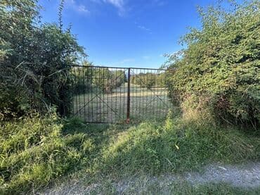 xacmazda findiq bagi satilir: Kənd təsərrüfatı — 24