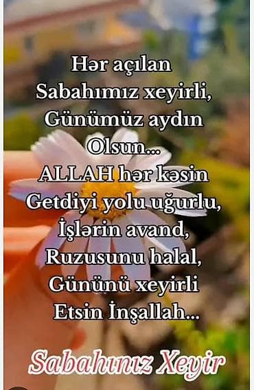 dem caynik: Dəmir pəncərə barmaqlıqları - Material: möhkəm metal/dəmir — 3