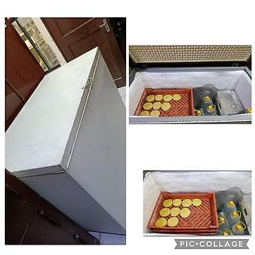Qapalı dondurucu lalafo.az -da Qapalı dondurucu