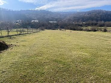 25 sot, Tikinti, Mülkiyyətçi, Kupça (Çıxarış)