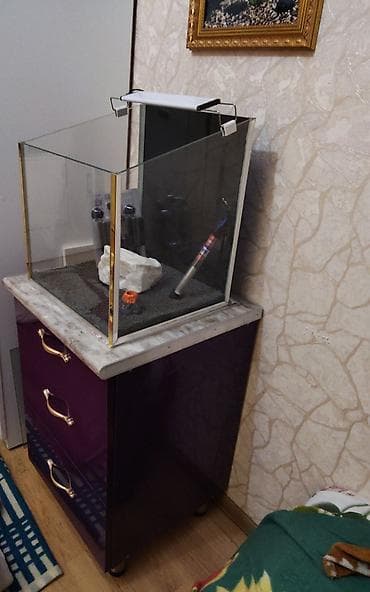 teze bazar akvarium: Akvaryum dəsti - Şüşə akvaryum: çərçəvəsiz, şəffaf şüşə, kvadrat — 1