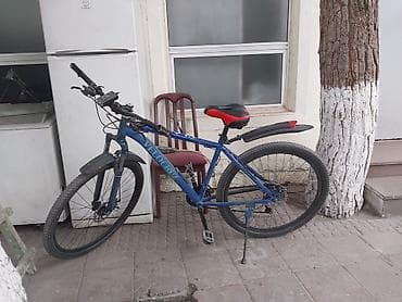 Şəhər velosipedləri: Velocir markalı dağ velosipedi - Rəng: mavi-qara, qırmızı detallı — 2