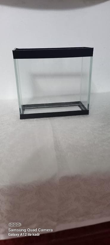 su heyvanlari: Salam akvariumun ölçüləri uzunu 30 sm . hündürü 26 sm . eni 15 sm — 3