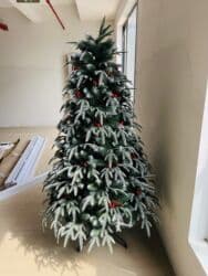 Kremlovski yolka 701