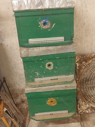 Коровы, быки: Arı yeşikleri
Yaxşı veziyyetdedir
Ehtiyyac olmadığı üçün satılır — 1