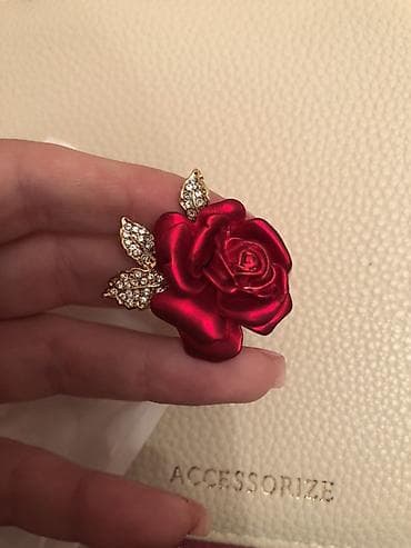 Qırmızı gül formalı bross Həzi Aslanov metrosunun yanında, 245 nömrəli — 1