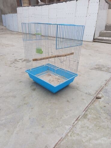 danişan quş: Quş qəfəsləri – müxtəlif rəng və komplektasiyalarda Məhsul təsviri: - — 4