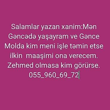 Xidmət: İşə düzəltmə dəstəyi axtaran xanımın müraciəti Təsvir: -