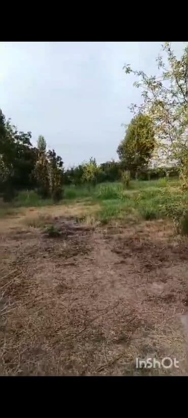 ovcu mağazası unvan: 18 sot, Biznes üçün, Mülkiyyətçi, Kupça (Çıxarış), Texniki pasport — 7