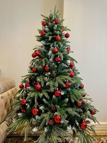 yuxuda nelbeki gormek: Yolka — 3