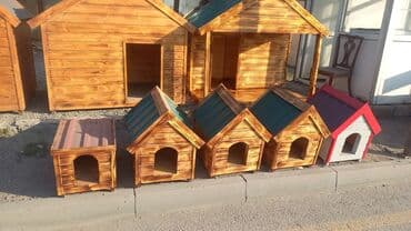 pişik yuvaları: Yuvalar — 2