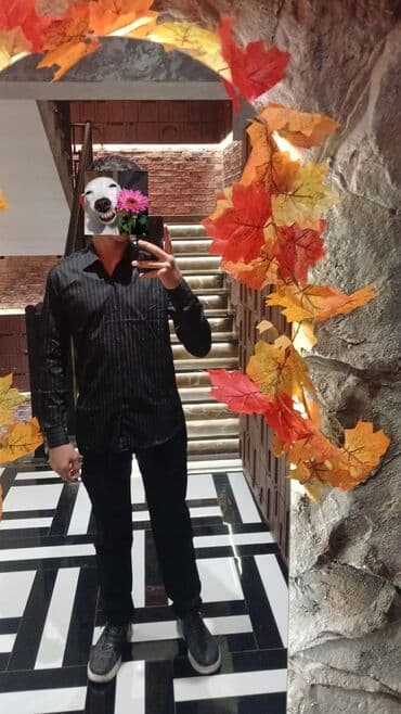 Ofisiant, Kişi, 17 yaş, 1 ildən az təcrübə — 1