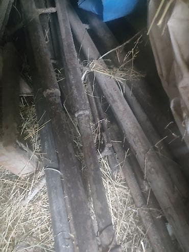 karavan icaresi: Toy Mağarı Satılır Ünvan Yardımlı Rayon Qiymət 4000 min 18 uzun 7 eni — 7