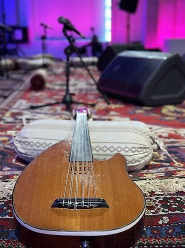 electro gitar: Godin Ud Türkiyədə yığılıb. İstifadə olunan ağaclar: Maun, Ladin və — 1