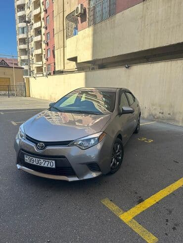 yuk masini sifarisi: Toyota Corolla LE sedan Wın2016 texpasport 2017 - Korpus rəngi: yas — 1