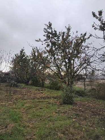 продажа 3 комнатных квартир в баку: Kənd təsərrüfatı, Su — 7