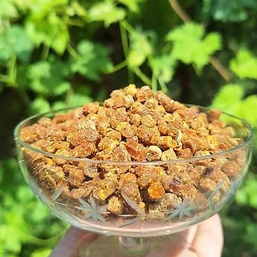 temiz bal: Propolis, güləm, arı çörəyi (perqa) – təbii arıçılıq məhsulu Hər bir — 1