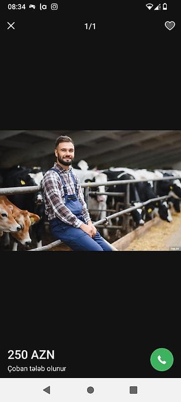 Təhsil, elm: Ferman işi axtariram isimde meslyedi celdem aleliyem iney qoyun heyet — 1