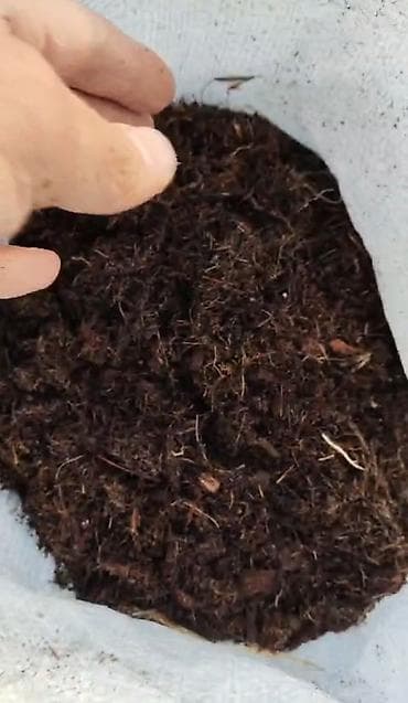 Bitki dərmanları: Məhsul: Torf (bağ və istixana üçün) Təsvir: - Ağ polipropilen — 2