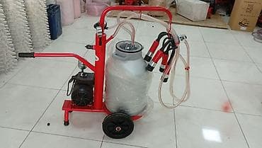 Kənd təssərüfatı avadanlığı: Tək bidon, Türkiyə, Paslanmaz bidon — 6