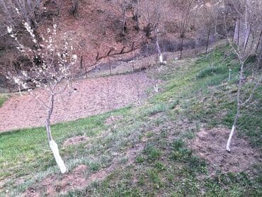 kend ehmedlide satilan heyet evleri: Qusar, 80 kv. m, 2 otaqlı, Hovuzsuz, Qaz, İşıq, Su — 7