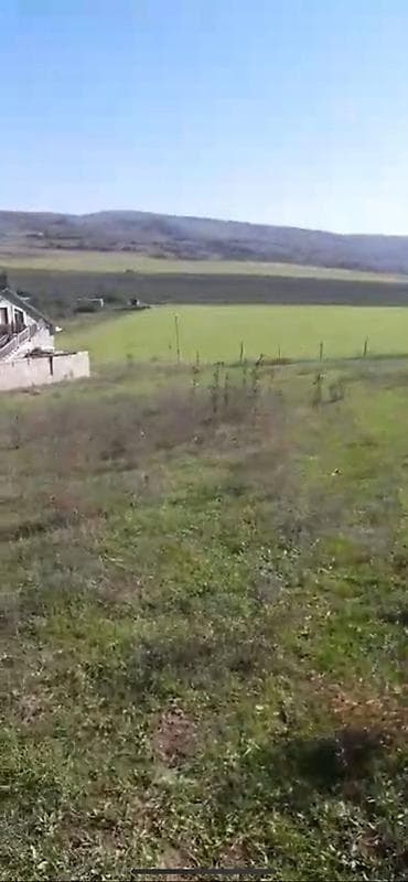 samaxi: 10 sot, Tikinti — 2