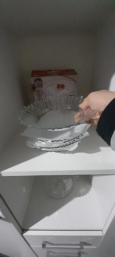 Bitkilər: Boşqablar, Şüşə — 4