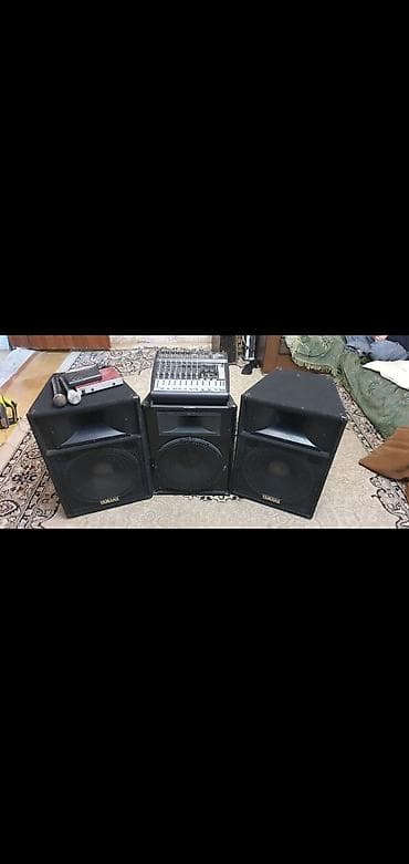 ps5 çanta: Səyyar səs gücləndirmə dəsti – tam komplekt Komplektə daxildir: - 2 — 3