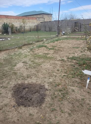 5 sot, Tikinti, Mülkiyyətçi, Kupça (Çıxarış) lalafo.az -da 5 sot, Tikinti, Mülkiyyətçi, Kupça (Çıxarış)