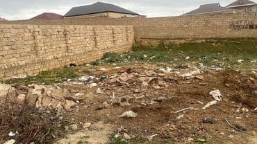 esed ehmedov kucesi: 6 sot, Tikinti, Maklerlər narahat etməsin, Bələdiyyə — 3