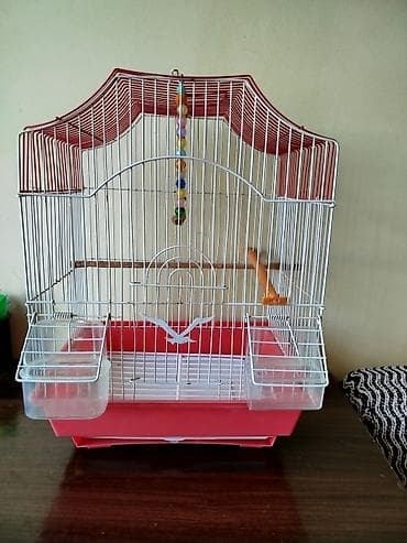 qefes boyuk: Qırmızı-ağ quş qəfəsi - Material: metal barmaqlıqlar, plastik altlıq — 1
