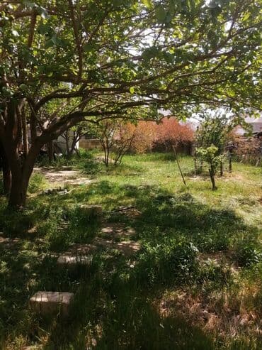 şirvanda satilan torpaqlar: 4 sot, Tikinti — 3