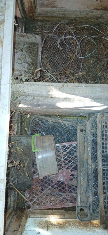 it ucun qəfəs: Dovşan üçün ikili qəfəs - Material: taxta karkas, üstü taxta/qalın — 7