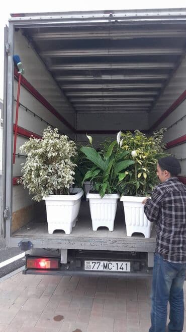 bər bər: Yüklərin daşınması xidməti - Şəhər içi və şəhərlərarası yükdaşıma - — 1