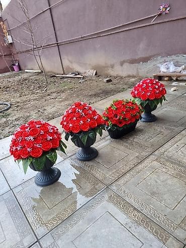 ev dekor: Məzar yanı Daş güllər (dibçəkdə) Çatdırılma mövcuddur  — 9