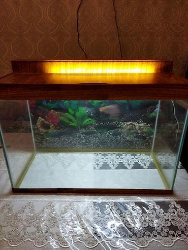 baliq akvarium satisi: 6liq suseden akvaryum satılır,hundurluyu- 45, eni- 35, uzunlugu- 65 — 2